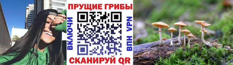 Галлюциногенные грибы мицелий  Купить где  Реж 